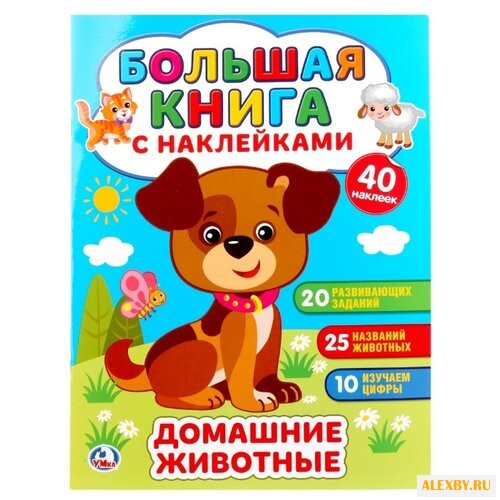 Большая книга с наклейками