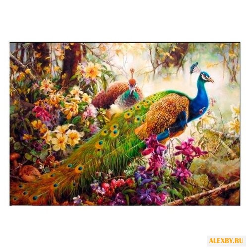 Рыжий кот Картина по номерам