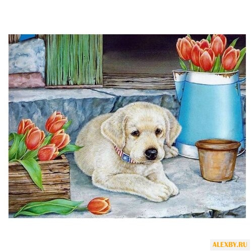 Color Kit Картина по номерам