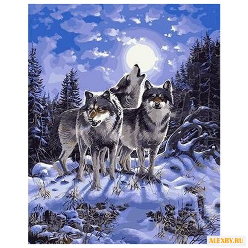 Рыжий кот Картина по номерам