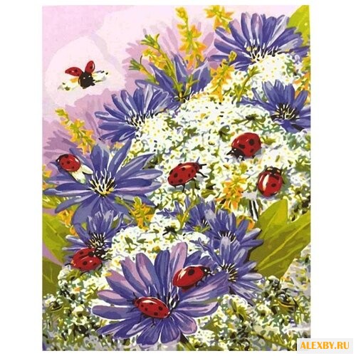 Цветной Картина по номерам