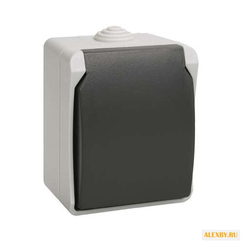 Розетка IEK ФОРС