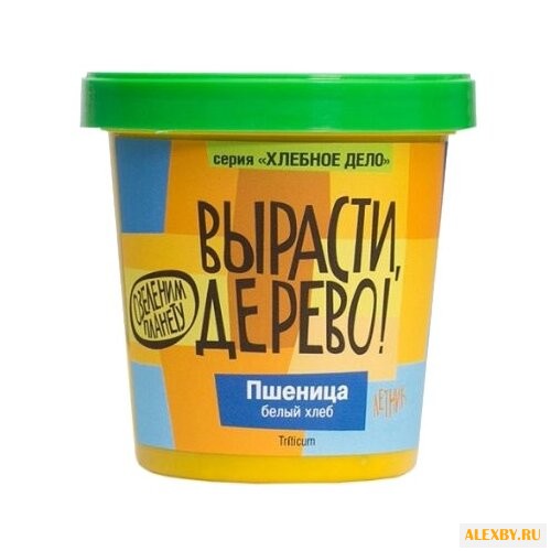 Набор для выращивания Вырасти