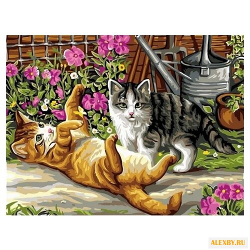 Paintboy Картина по номерам