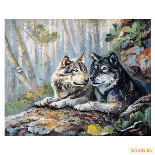 Белоснежка Картина по номерам