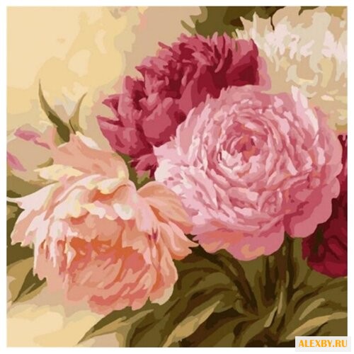 Molly Картина по номерам Летом