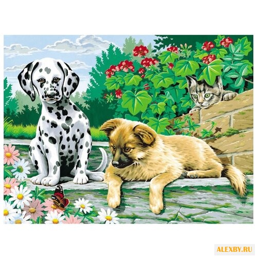 Рыжий кот Картина по номерам