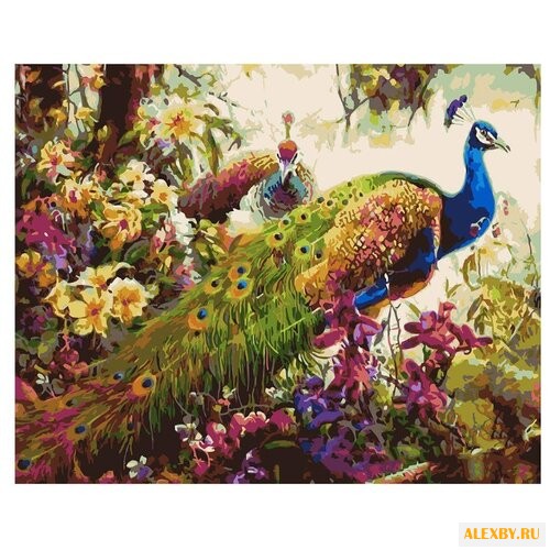 Рыжий кот Картина по номерам