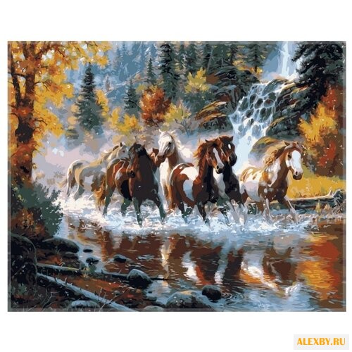 Рыжий кот Картина по номерам