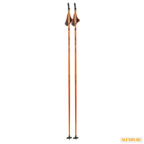 Лыжные палки Bjorn Daehlie