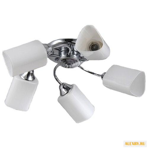 Люстра toscom Ricco TC-995-505