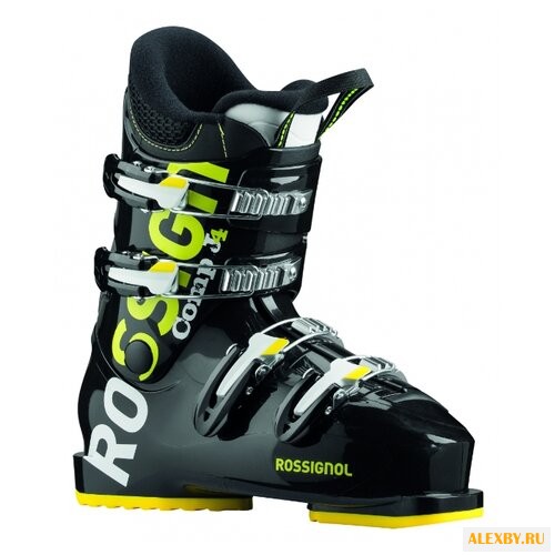 Ботинки для горных лыж