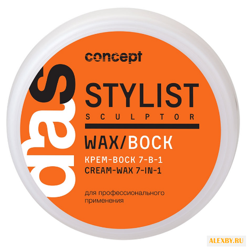 Concept Stylist sculptor.