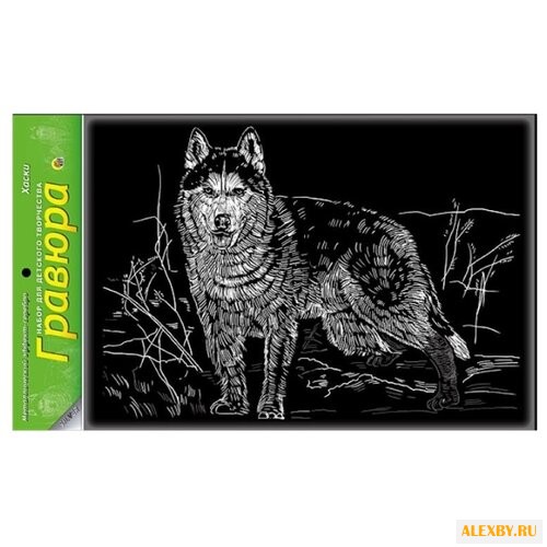 Гравюра Рыжий кот Хаски в