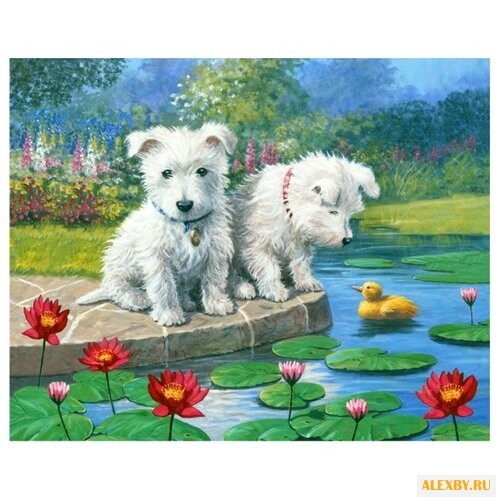 Рыжий кот Картина по номерам