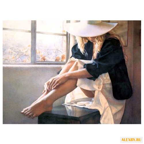 Hobbart Картина по номерам В