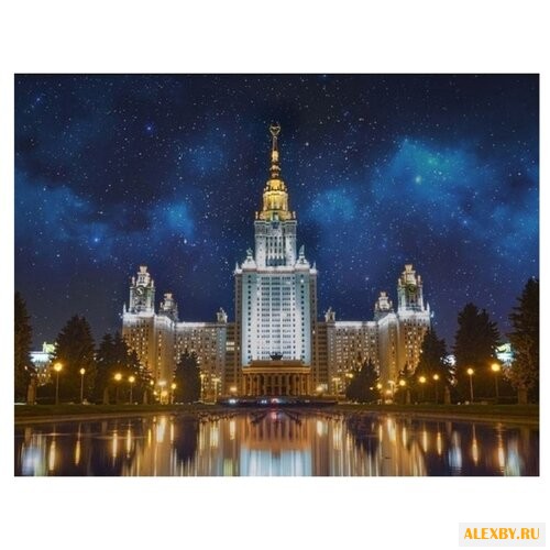 Molly Картина по номерам