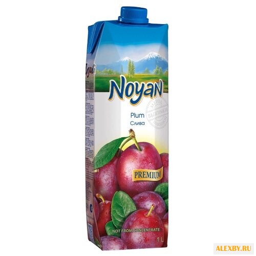 Нектар Noyan Слива с крышкой