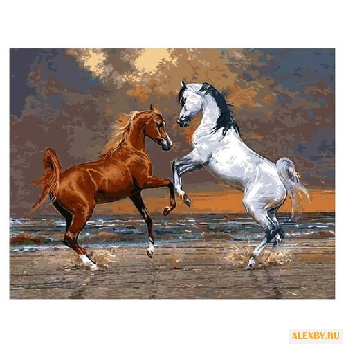 Color Kit Картина по номерам