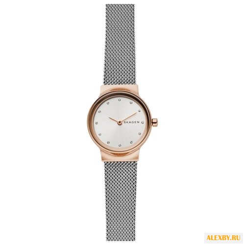 Наручные часы SKAGEN SKW2716