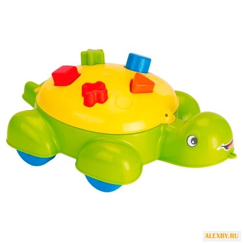 Каталка-игрушка Dolu Turtle