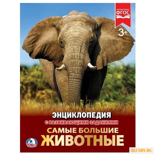 Самые большие животные