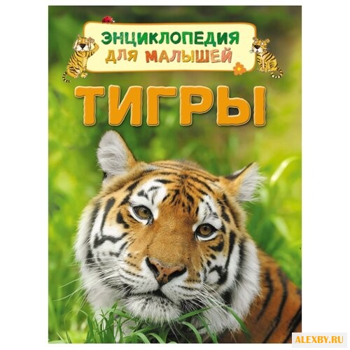 Маклейн Дж. Тигры. Энциклопедия