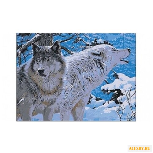 Рыжий кот Картина по номерам