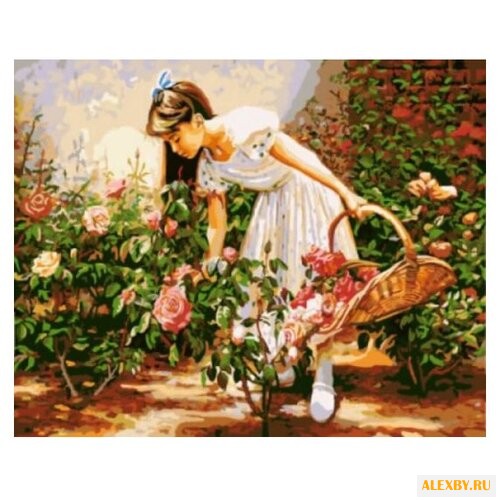 Paintboy Картина по номерам