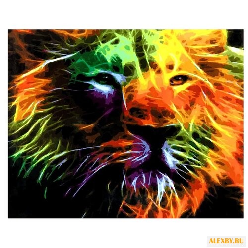 Paintboy Картина по номерам