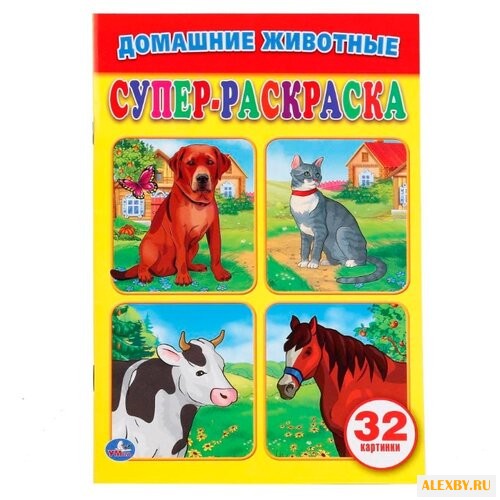 Умка Супер-раскраска. Домашние