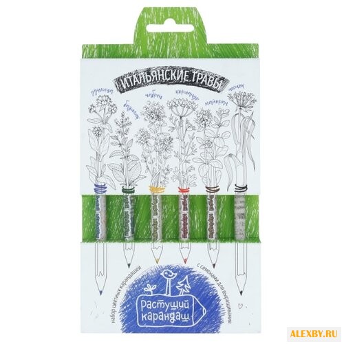 Эйфорд Цветные карандаши