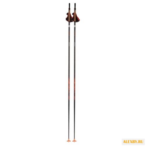 Лыжные палки Bjorn Daehlie Legend