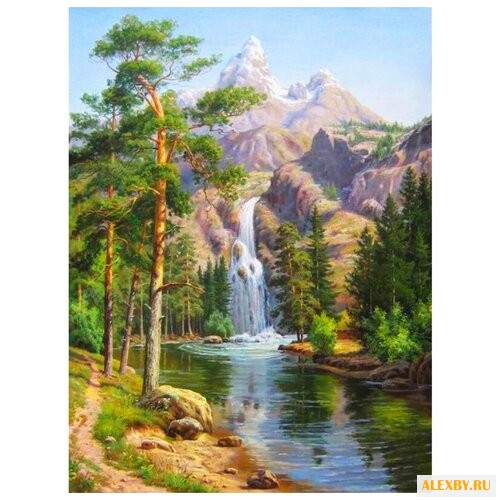 Molly Картина по номерам