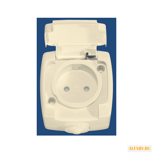 Розетка Schneider Electric