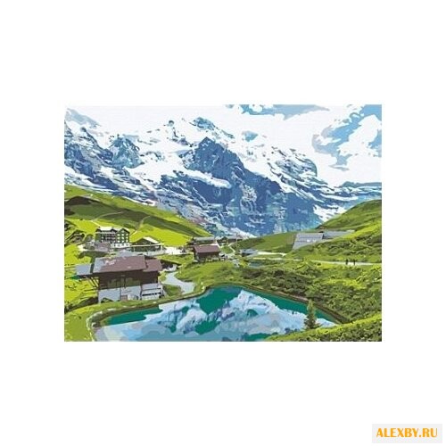 Рыжий кот Картина по номерам