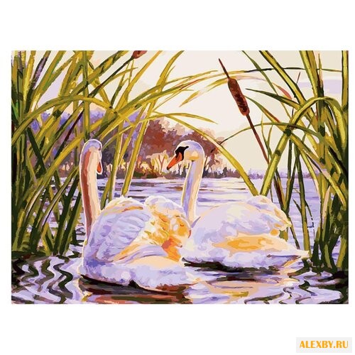 Белоснежка Картина по номерам