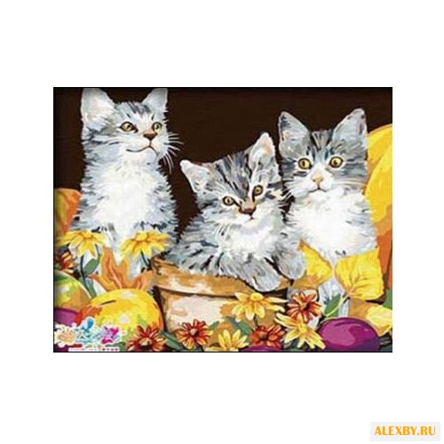 Hobbart Картина по номерам Трио