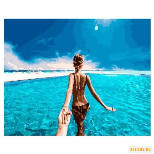 Paintboy Картина по номерам