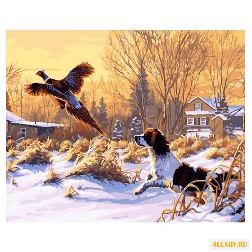 Color Kit Картина по номерам