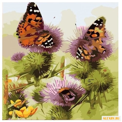 Color Kit Открытка по номерам