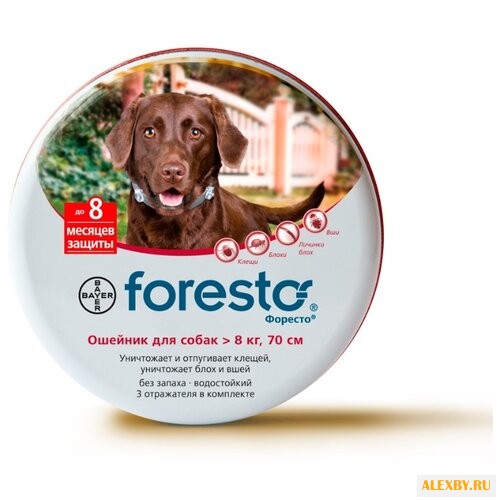 Форесто Bayer Ошейник для собак
