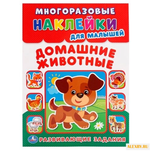 Книга с многоразовыми