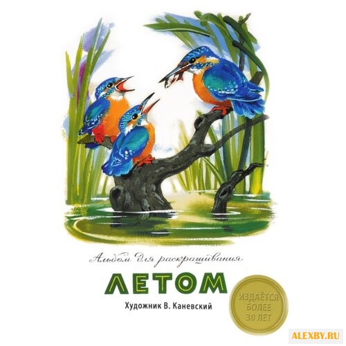 Стрекоза Альбом для