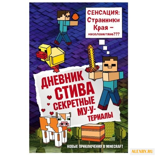 Дневник Стива. Секретные