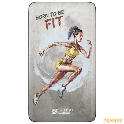 Аккумулятор Sensocase Power