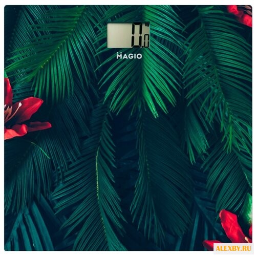 Весы Magio МG-811