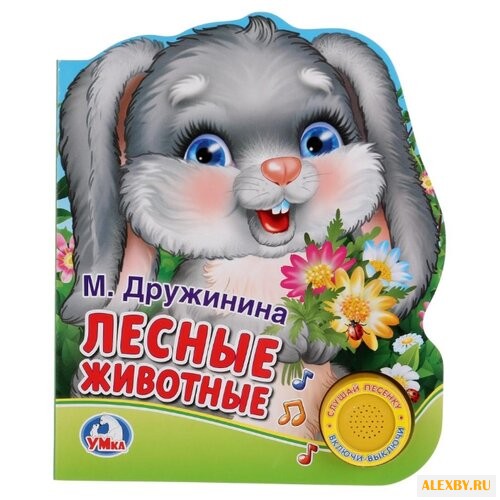 Дружинина М. 1 кнопка с