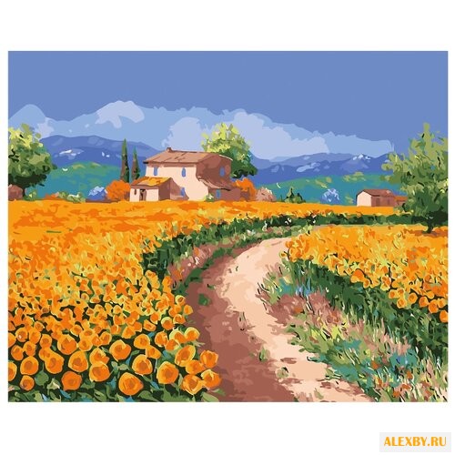 Рыжий кот Картина по номерам