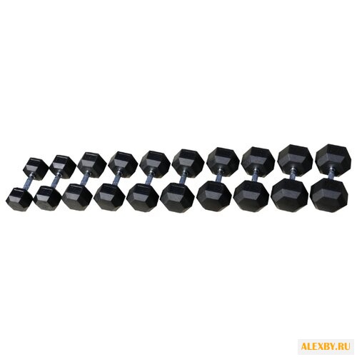 Набор гантелей неразборных Body